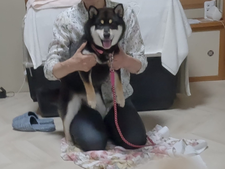 ダウンロード