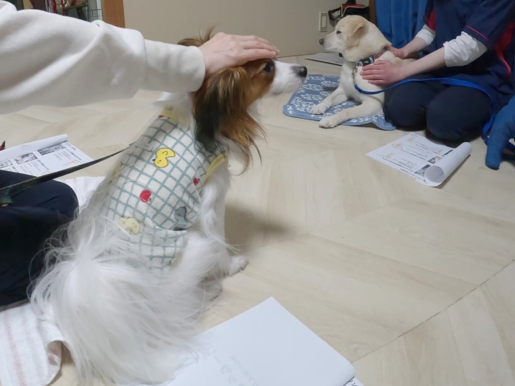 ダウンロード