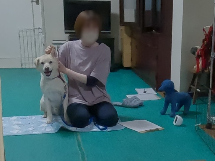 ダウンロード