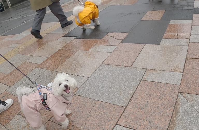 2026.5.24のお散歩会♪